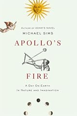Apollo fire day for sale  Delivered anywhere in UK