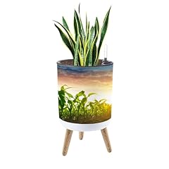 Deruinvaio inch planter for sale  Delivered anywhere in USA 