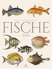Fische kalender 2026 gebraucht kaufen  Wird an jeden Ort in Deutschland