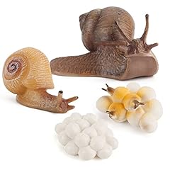 Life cycle snail for sale  Delivered anywhere in USA 