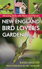 New england bird for sale  Delivered anywhere in USA 