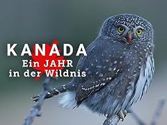 Kanada jahr wildnis gebraucht kaufen  Wird an jeden Ort in Deutschland