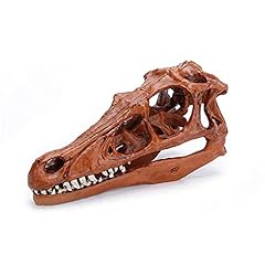 Xiyi velociraptor skull for sale  Delivered anywhere in USA 