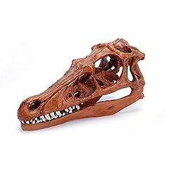 Xiyi velociraptor skull for sale  Delivered anywhere in USA 