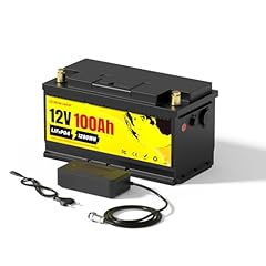 Batteria litio lifepo4 usato  Spedito ovunque in Italia 
