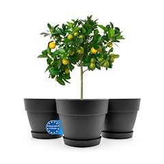 Bigdean stück blumentopf gebraucht kaufen  Wird an jeden Ort in Deutschland