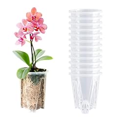 Orchid pot pack for sale  Delivered anywhere in USA 