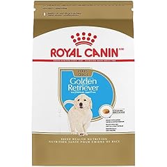 Royal canin golden for sale  Delivered anywhere in USA 