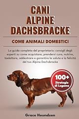 Cani alpine dachsbracke usato  Spedito ovunque in Italia 