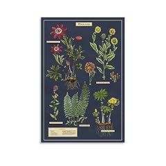 Vintage plant poster gebraucht kaufen  Wird an jeden Ort in Deutschland