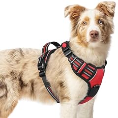 Rabbitgoo dog harness for sale  Delivered anywhere in UK