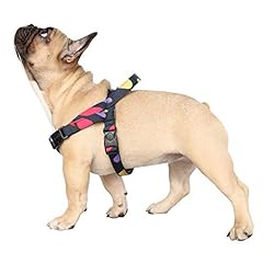 Ichoue dog harness for sale  Delivered anywhere in USA 