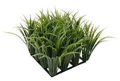 Fluval chi grass for sale  Delivered anywhere in USA 