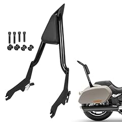 Dsisimo detachable passenger for sale  Delivered anywhere in USA 