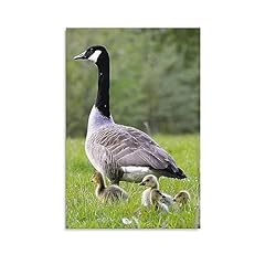 Canada geese animal for sale  Delivered anywhere in USA 