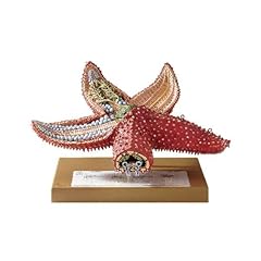 Somso star fish for sale  Delivered anywhere in USA 
