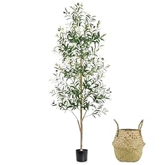 Caxchiling faux olive for sale  Delivered anywhere in USA 