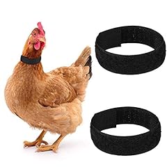 Chicken collar pack for sale  Delivered anywhere in USA 