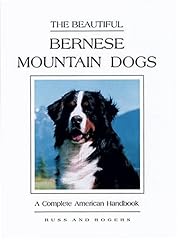Beautiful bernese mountain for sale  Delivered anywhere in USA 