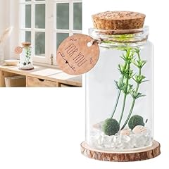 Moss balls cylindrical for sale  Delivered anywhere in USA 
