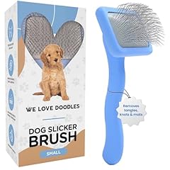 Love doodles dog for sale  Delivered anywhere in USA 