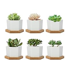 Warmplus 7CM Succulent Plant Pots, Simple Design Hexagon for sale  Delivered anywhere in UK