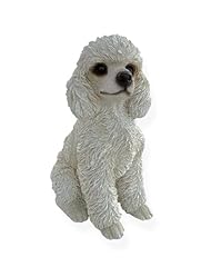 White french poodle for sale  Delivered anywhere in USA 