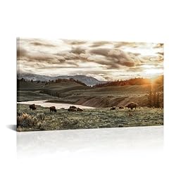 Rnnjoile buffalo canvas for sale  Delivered anywhere in USA 