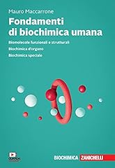 Fondamenti biochimica umana. usato  Spedito ovunque in Italia 