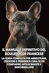 Manuale definitivo del usato  Spedito ovunque in Italia 