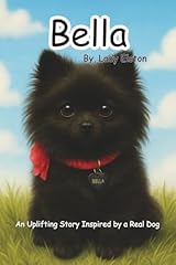 Bella brave pomeranian for sale  Delivered anywhere in USA 