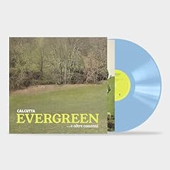Evergreen... altre canzoni usato  Spedito ovunque in Italia 