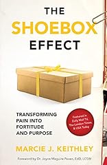 The shoebox effect gebraucht kaufen  Wird an jeden Ort in Deutschland