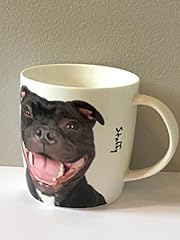 Royal county ceramic for sale  Delivered anywhere in Ireland