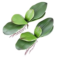 Fnize orchid leaves for sale  Delivered anywhere in USA 