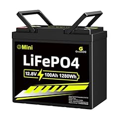 12v 100ah mini for sale  Delivered anywhere in USA 