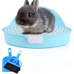 Hamiledyi bunny litter for sale  Delivered anywhere in USA 