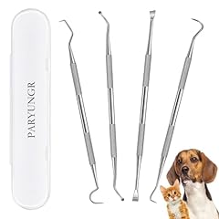 Paryungr dental tools for sale  Delivered anywhere in USA 