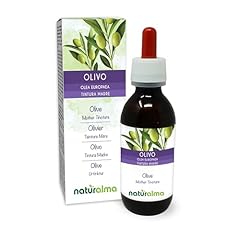 Olivo ulivo foglie usato  Spedito ovunque in Italia 
