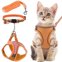 accessoires chats chatons d'occasion  Livré partout en France