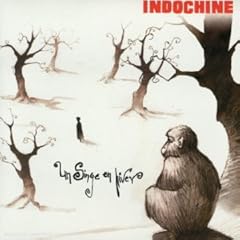 Singe hiver import d'occasion  Livré partout en France