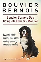 Bouvier bernois. bouvier for sale  Delivered anywhere in UK