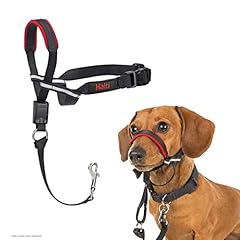 Licol halti optifit d'occasion  Livré partout en France