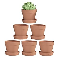 Fcacti inch clay for sale  Delivered anywhere in USA 