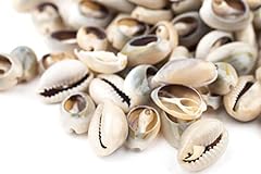 Thebeadchest cowrie shells for sale  Delivered anywhere in USA 