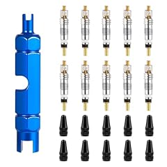 10pcs noyau valve d'occasion  Livré partout en France