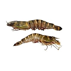 Jumbo tiger prawns for sale  Delivered anywhere in UK