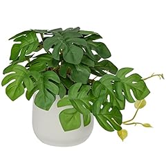 bain vert plante d'occasion bain vert plante d'occasion Livré partout en France