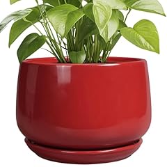 Epgardening ceramic plant for sale  Delivered anywhere in USA 