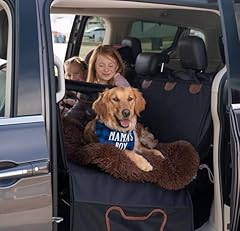 Classy canine extra for sale  Delivered anywhere in USA 